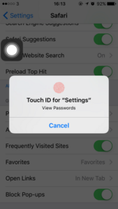 Cara Melihat Password yang Tersimpan pada Safari di iPhone iPad (3)