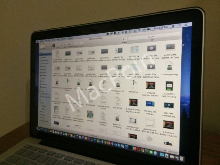 Cara Mencari File Duplikat di Mac dengan Gemini 2