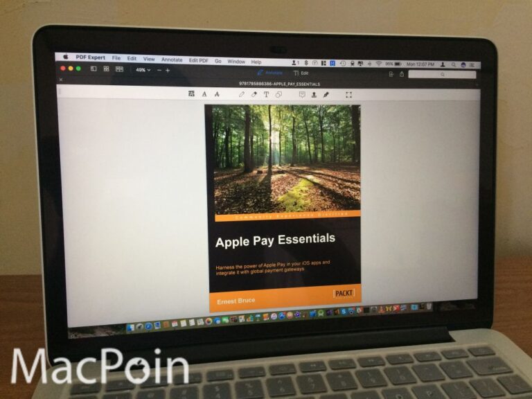 Download Ebook Apple Pay Essential Gratis Berbatas Waktu